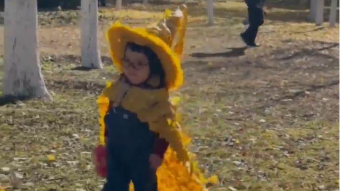 Robe and hat made of ginkgo leaves