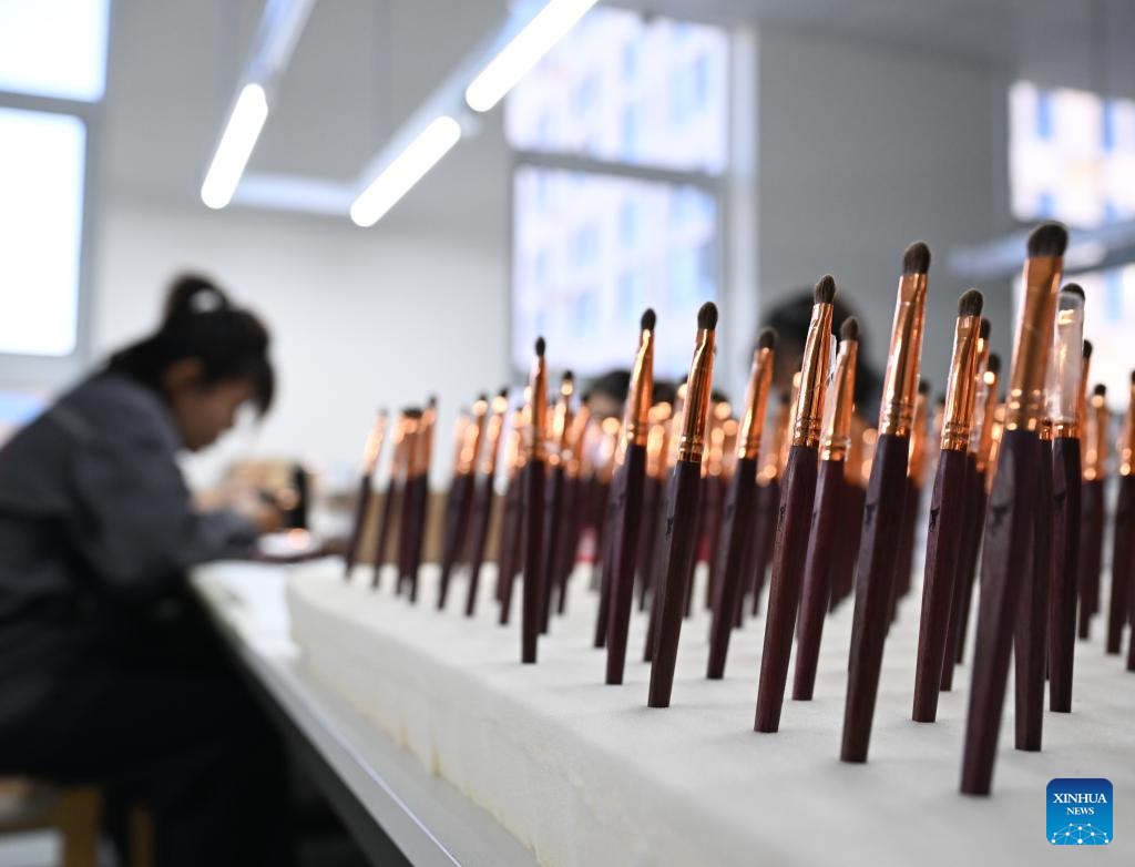 Makeup brush industry boosts local economy in Qingxian County, China's Hebei