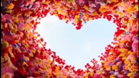 Nanyang's heart-shaped flower cylinder