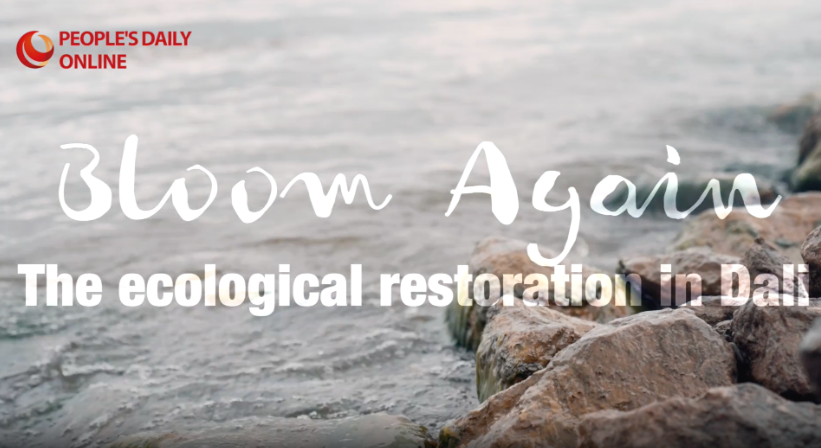 Dali people and Erhai Lake: harmony between man and nature